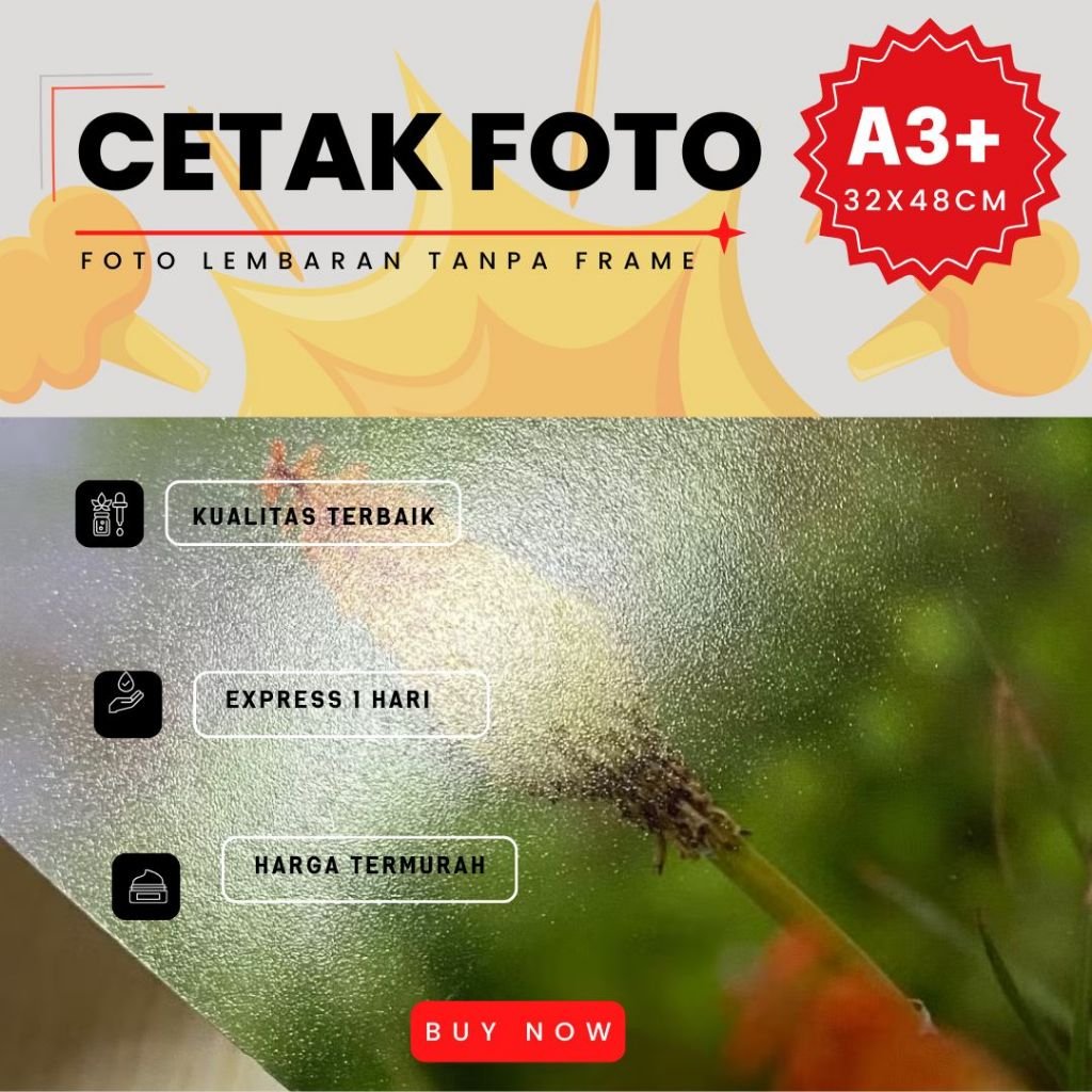 Cetak Foto A3+ 32x48 cm Kualitas Premium DOFF RC Luster SIWA EXPRESS